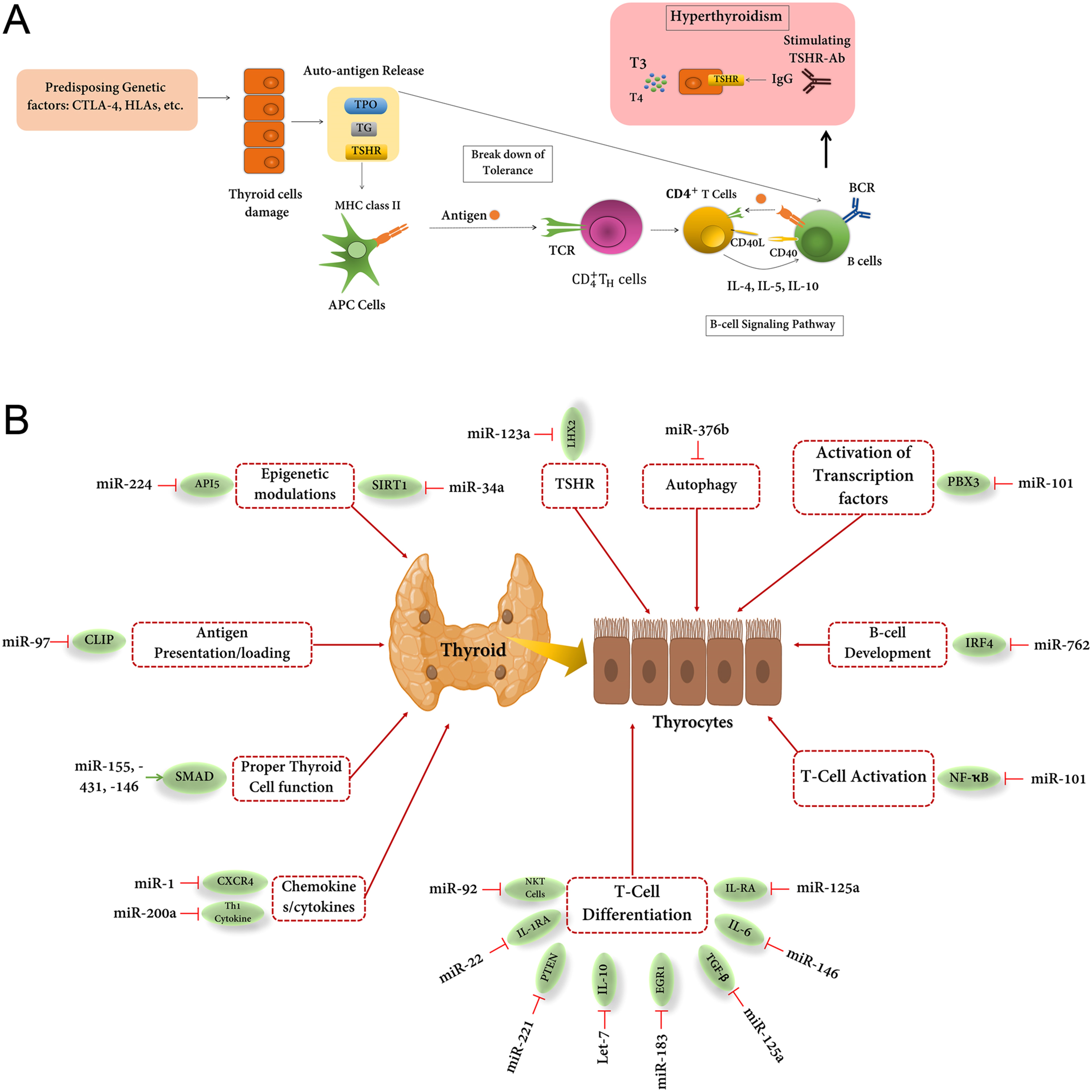 【佳学基因检测】格雷夫斯病基因检测Graves disease 【佳学基因检测】格雷夫斯病基因检测Graves disease